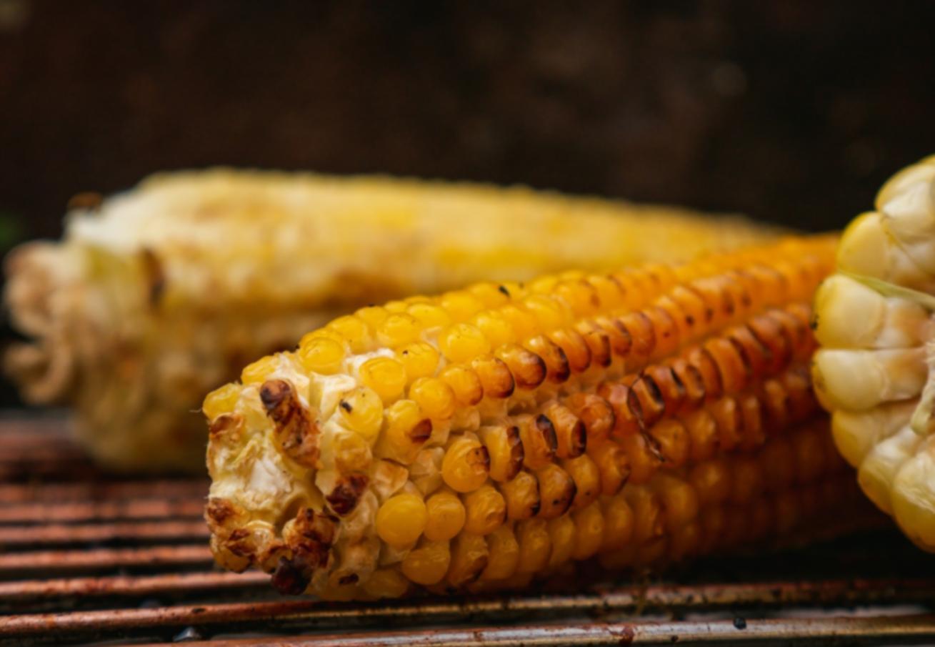 Fresh ingredients prepared for consultation planning